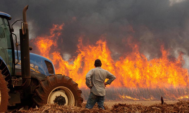 Incendio 1
